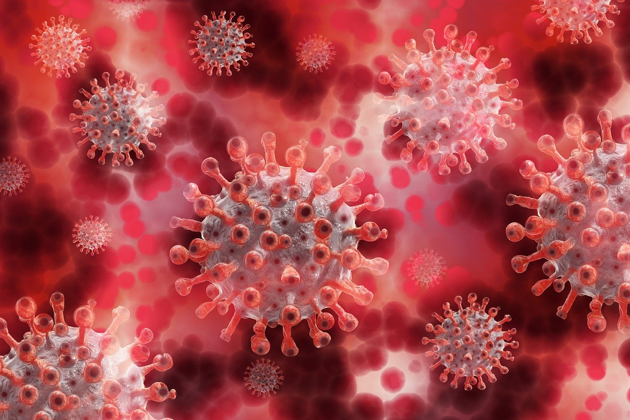 Immagine del coronavirus